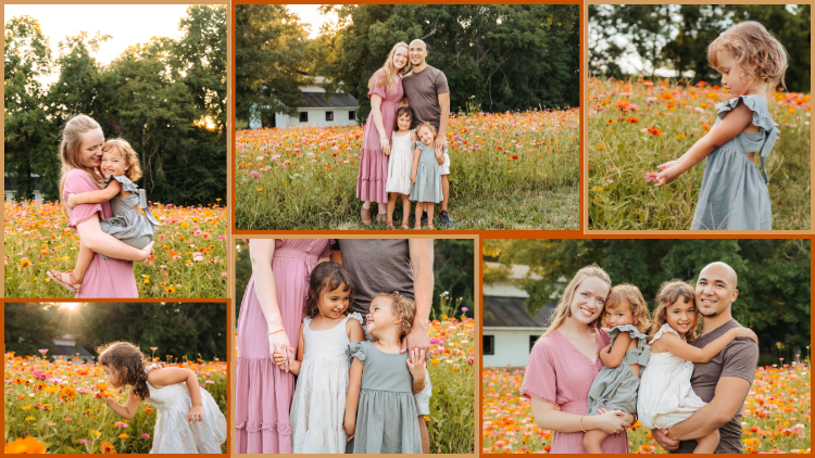 Growing the Chestnut Tree Banner Image